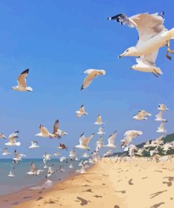 Flying Seagulls Diamond Painting