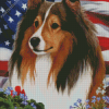 Patriotic Sheltie Sable Diamond Painting