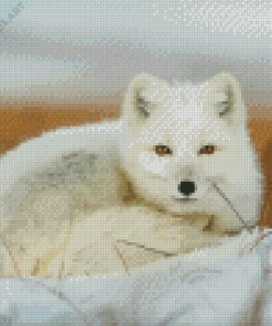 Snow Fox Animal Diamond Painting
