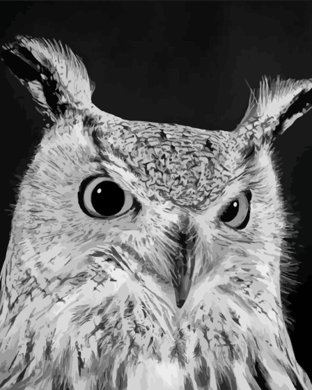 Eagle Owl Diamond Painting