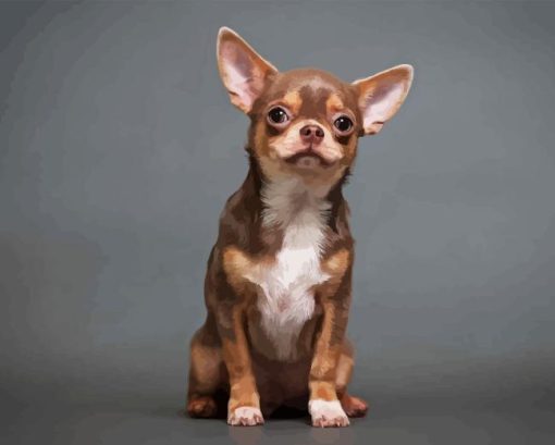 Chihuahua Puppy Diamond Painting