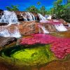 Colombia Cano Cristales Diamond Painting