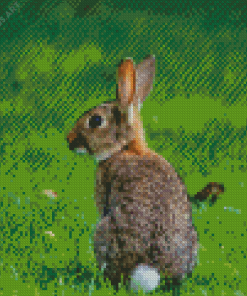 Cottontail Rabbit Diamond Painting