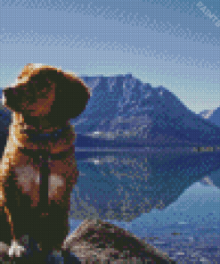 Dog On A Lake Diamond Painting