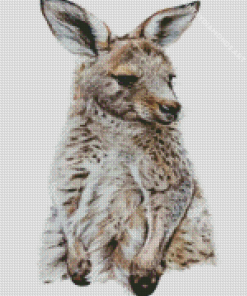 Eastern Grey Kangaroo Diamond Painting