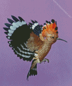 Hoopoe Bird Diamond Painting