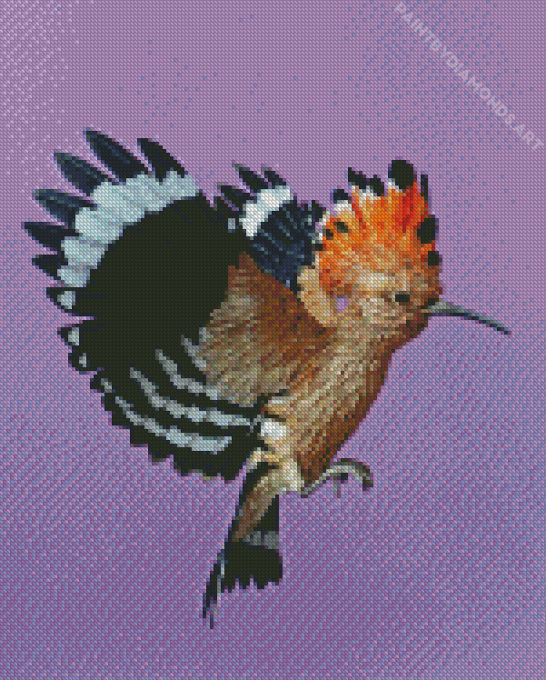 Hoopoe Bird Diamond Painting
