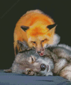 Fox And Wolf Diamond Painting
