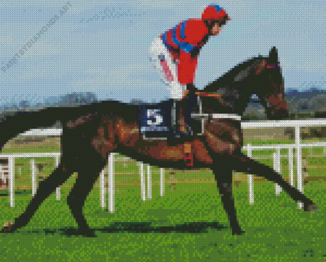 Race Horse Sprinter Diamond Painting