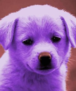 Sad Purple Puppy Diamond Painting