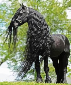 Black Friesian Horse Diamond Painting
