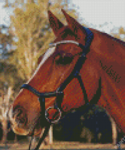 Horse Head Diamond Painting