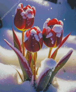 Red Tulips Snow Diamond Painting