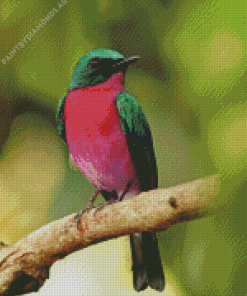 Pink Bird Diamond Painting