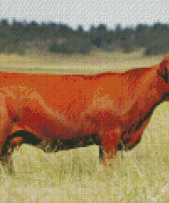 Red Cattle Diamond Painting