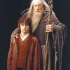 Gandalf And Frodo Diamond Painting