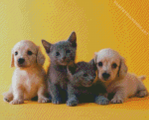 Kittens And Puppies Diamond Painting