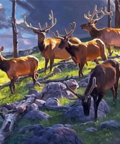 Elk Herd Wildlife Diamond Painting