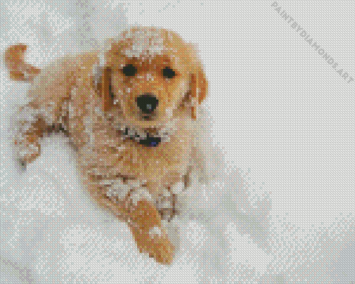 Puppy Golden Retriever Diamond Painting
