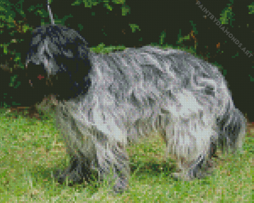 Schapendoes Dog Diamond Painting