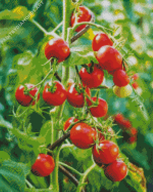 Red Tomato Plants Diamond Painting