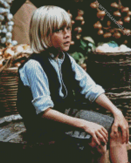 Ricky Schroder Diamond Painting