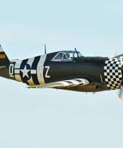 P47 Thunderbolt Diamond Painting