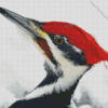 Woodpecker Head Diamond Painting