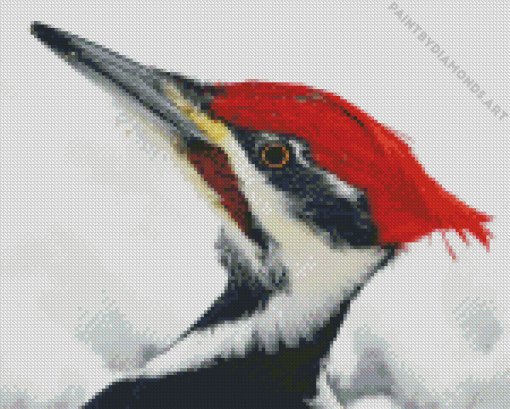 Woodpecker Head Diamond Painting