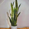 Snake Plant Diamond Painting