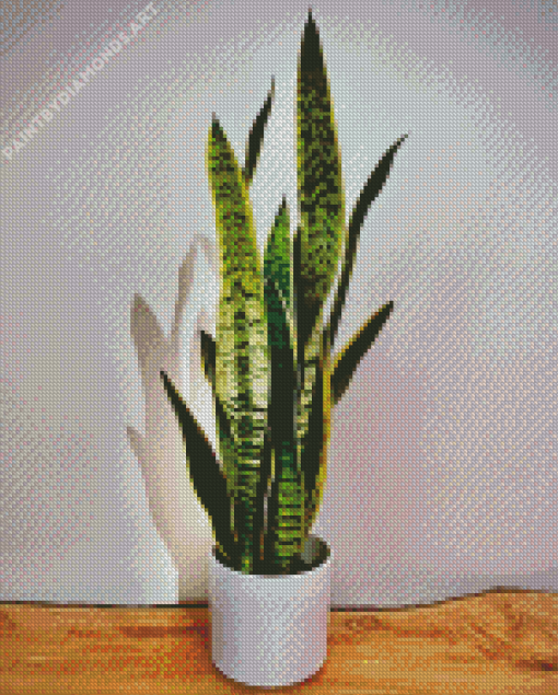 Snake Plant Diamond Painting