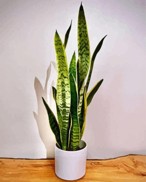 Snake Plant Diamond Painting