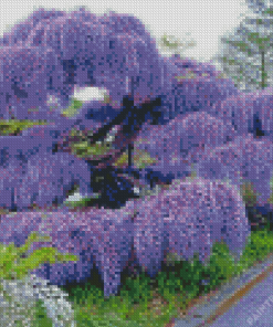 Purple Wisteria Tree Diamond Painting