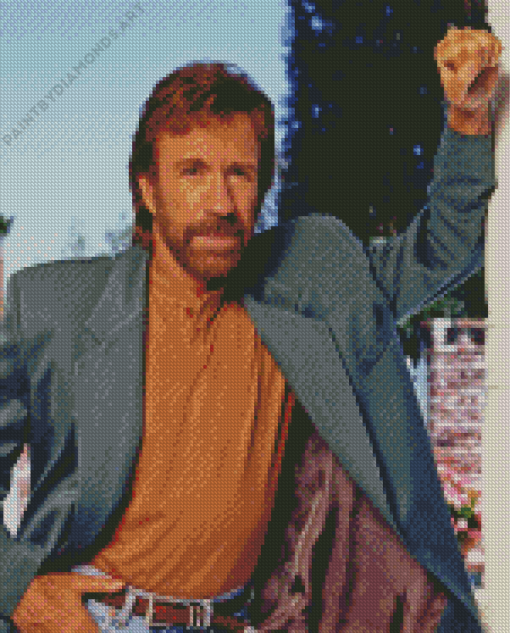 Chuck Norris Diamond Painting