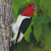Red Woodpecker Diamond Painting