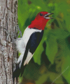 Red Woodpecker Diamond Painting