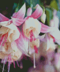 Fuchsia Flowers Diamond Painting