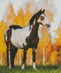 Pinto Horse Diamond Painting