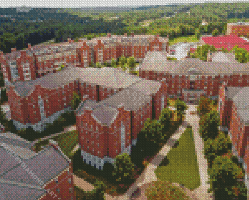 University Of Georgia Diamond Painting