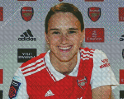 Vivianne Miedema Diamond Painting