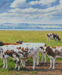 Ayrshire Cattle Herd Diamond Painting