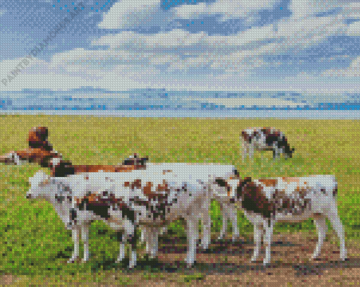 Ayrshire Cattle Herd Diamond Painting