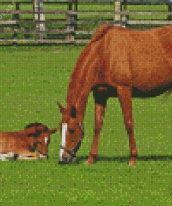 Brown Mare and Foal in Pasture Diamond Painting