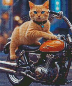 Cat on Motorcycle Diamond Painting