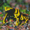 Dart Frogs Diamond Painting