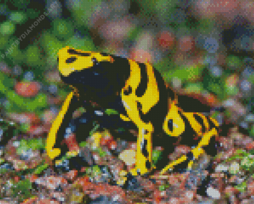 Dart Frogs Diamond Painting