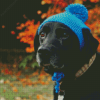 Dog with Blue Hat Diamond Painting