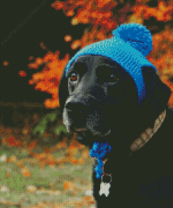 Dog with Blue Hat Diamond Painting