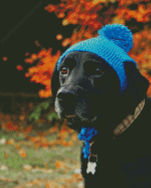 Dog with Blue Hat Diamond Painting