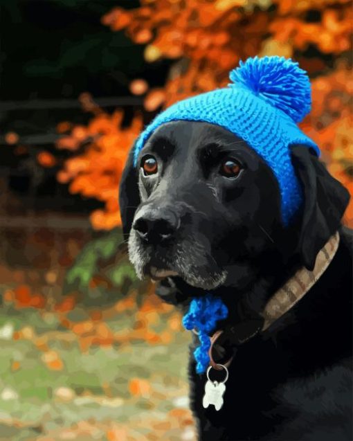 Dog with Blue Hat Diamond Painting